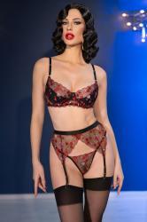 4 pcs lingerie setset with embroidered hearts and stockings