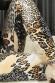 Leggings fantasia animalier beige/nero.