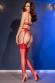 Intimo 4 pezzi in pizzo con collarino + calze. Rosso
